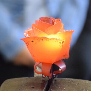 DSC_0204-1-1024x685